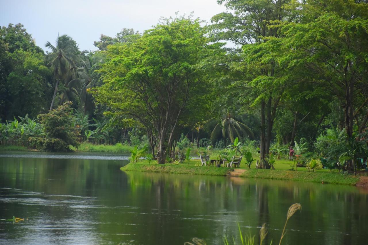 Canal Side Safari Resort Удавалаве Экстерьер фото